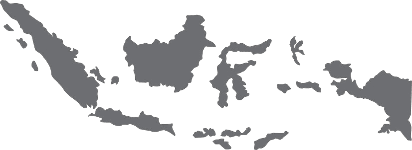 Indonesia Domestic Network Map